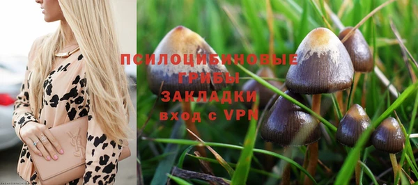мефедрон мука Гусь-Хрустальный