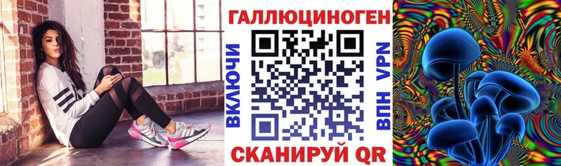 Псилоцибиновые грибы прущие грибы  Купить где  Изобильный 