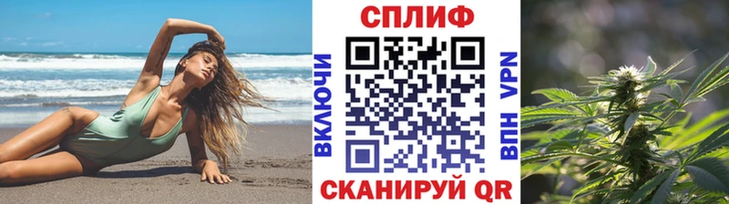 Купить закладки  Изобильный  Бошки Шишки Amnesia 